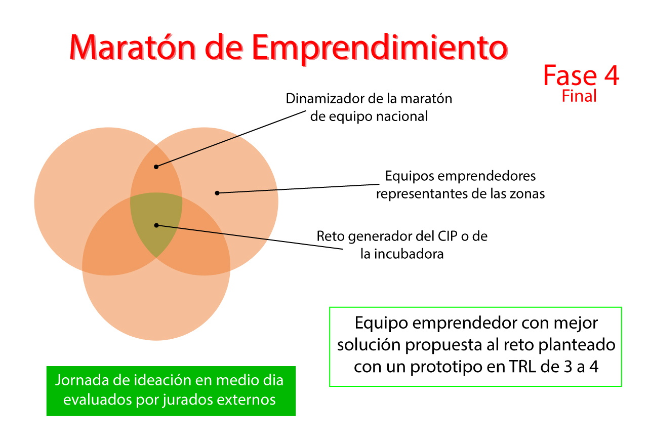 fase 4